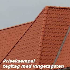 Priseksempel Tegltag med Vingetagsten