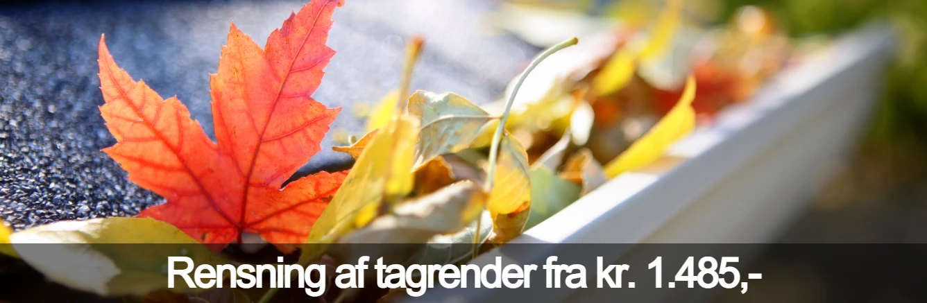 rensning af tagrender fra kr. 1.485